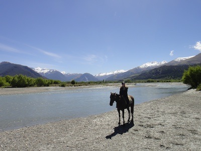 horse and rider on rocky beach