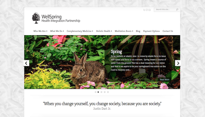 a WordPress website for WellSpring Health Integration Partnership